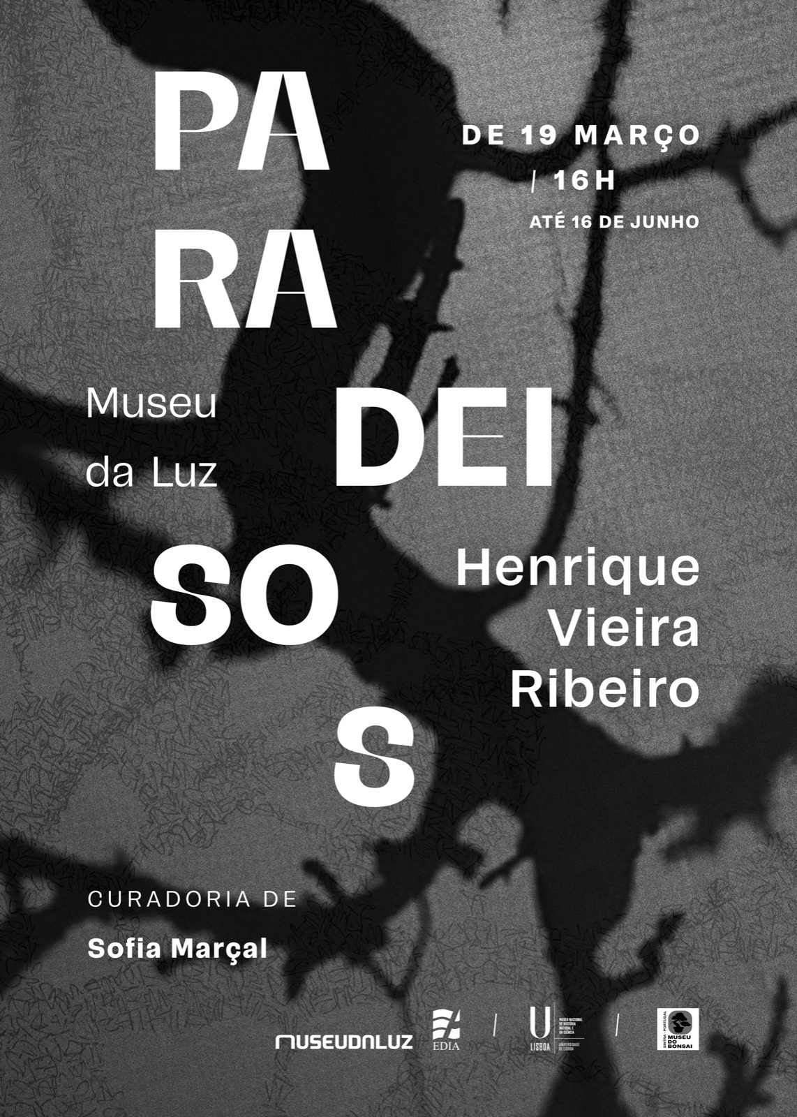 Museu Da Luz Exposi o Paradeisos Di rio Do Sul Museu Da Luz Exposi o Paradeisos Di rio Do Sul